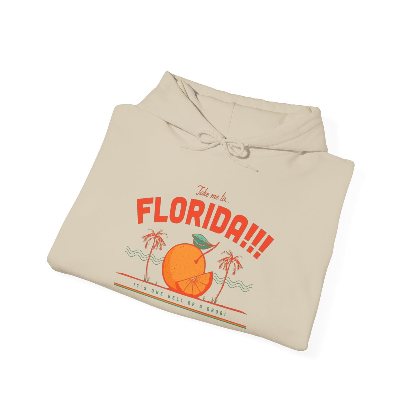 Take Me To Florida Graphic Hoodie Heavy Blend Sweatshirt NEW