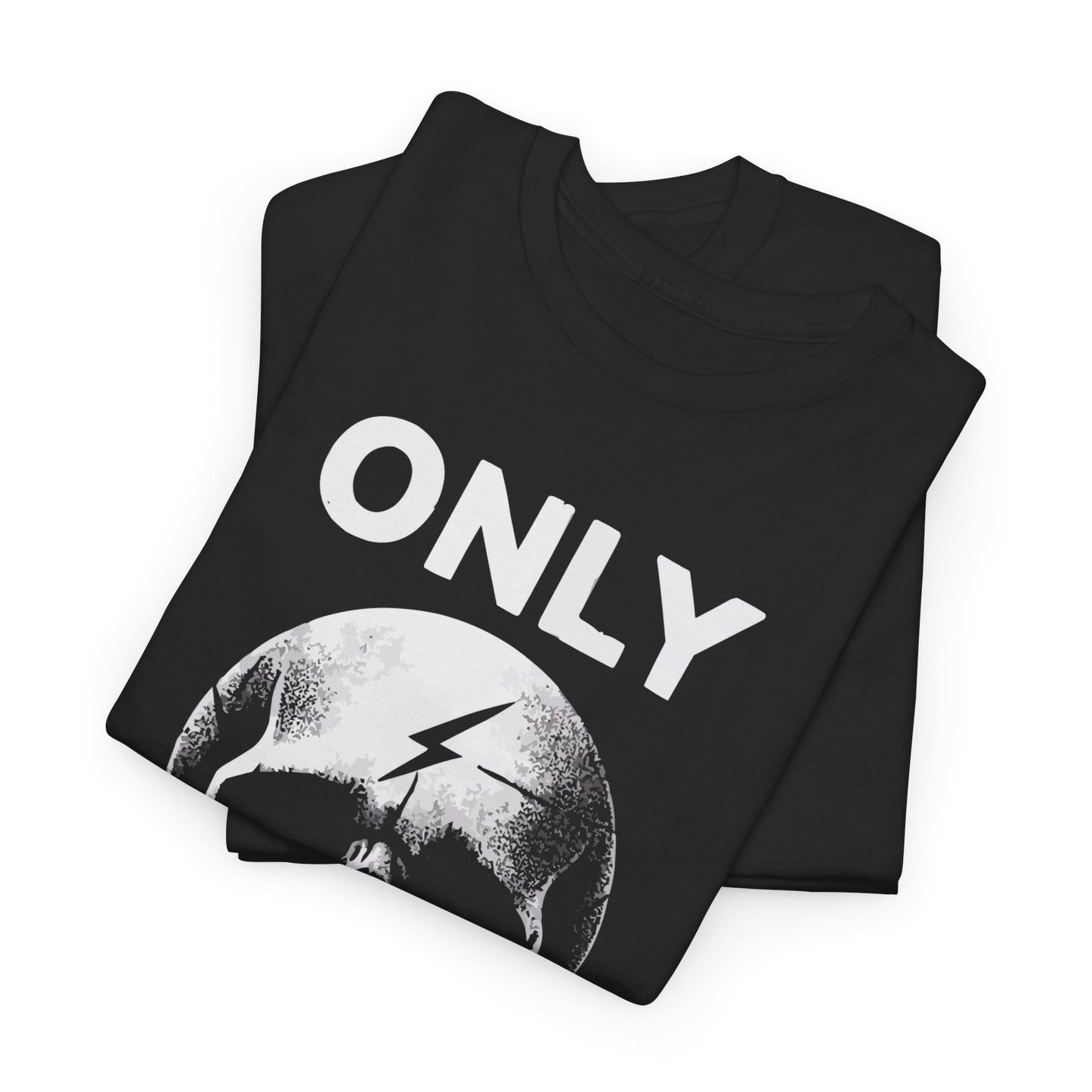Only Bad Ideas Graphic T Shirt Unisex Heavy Cotton Tee