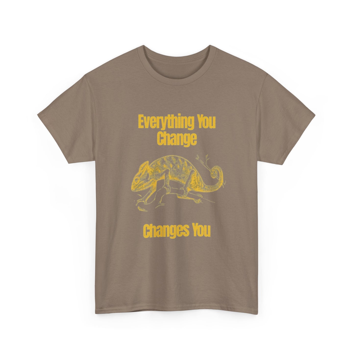 Everything You Change Changes You Graphic T Shirt Unisex Heavy Cotton Tee