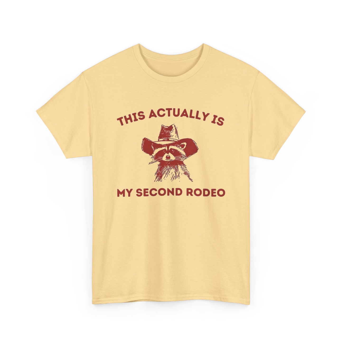 This Is My Second Rodeo Funny Graphic T Shirt Regular Men's Heavy Cotton Tee