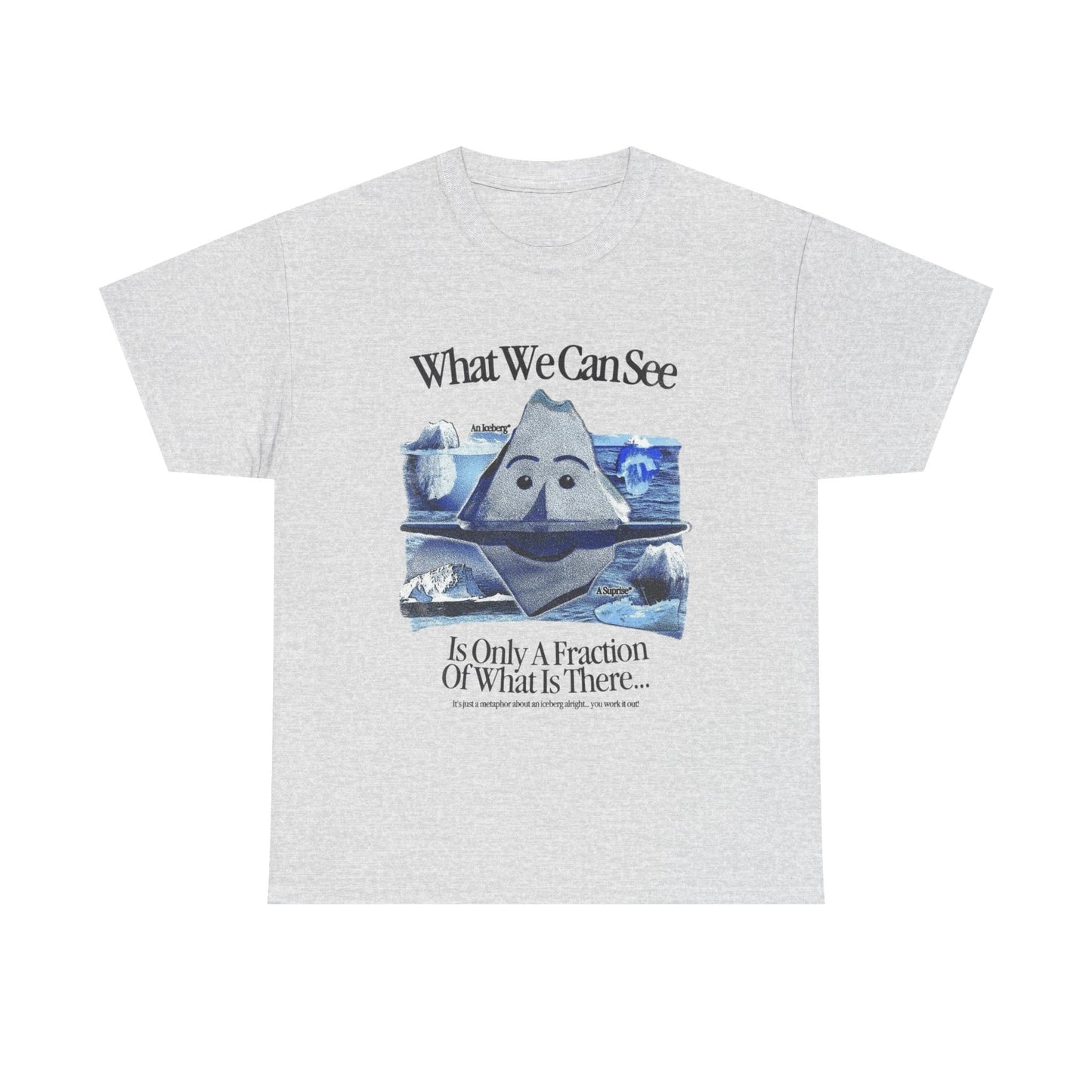 What We Can See Iceberg Graphic T Shirt Unisex Gift New AMERICAN VINTAGE