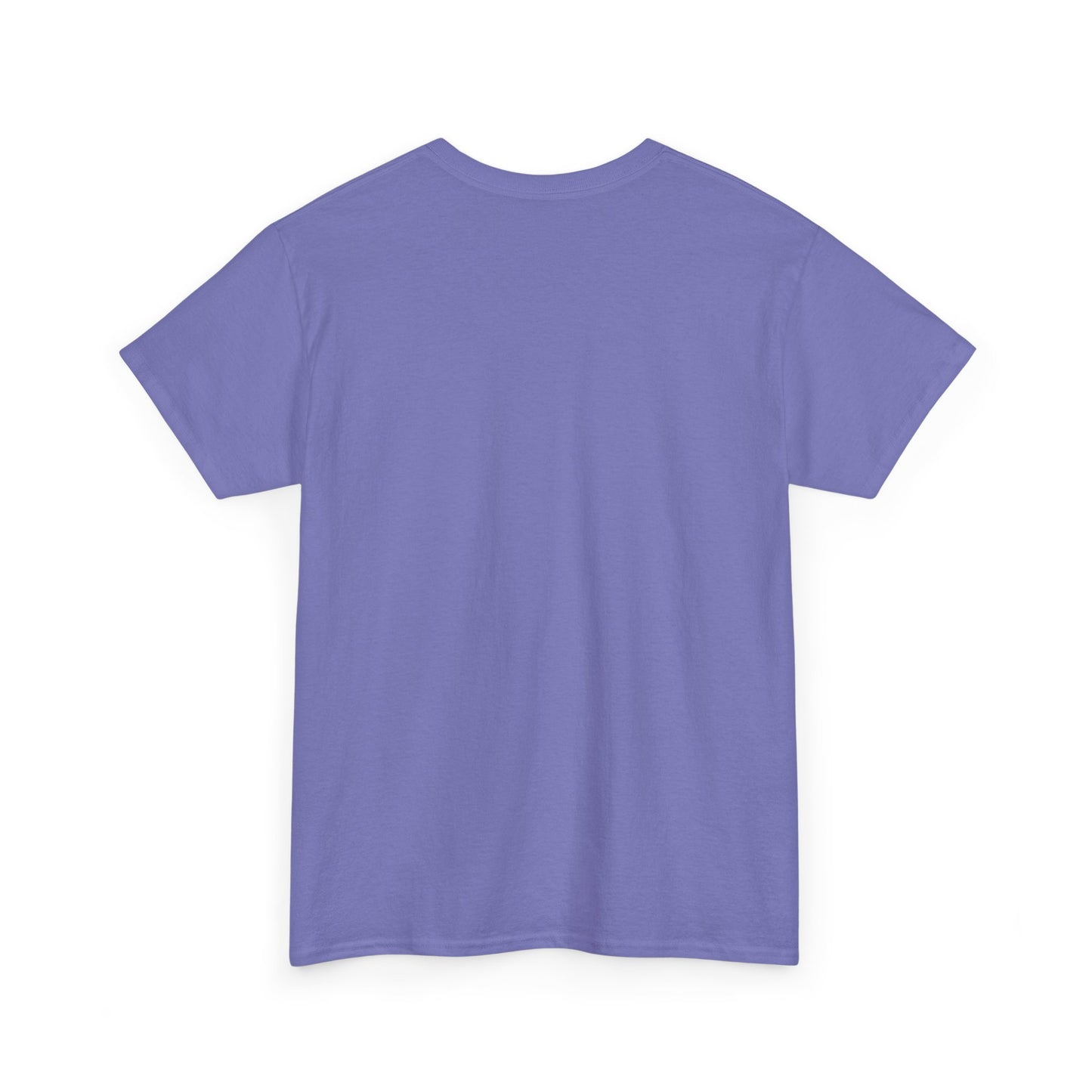 The Cure Retro Graphic T Shirt NEW ADULT Heavy Cotton Tee