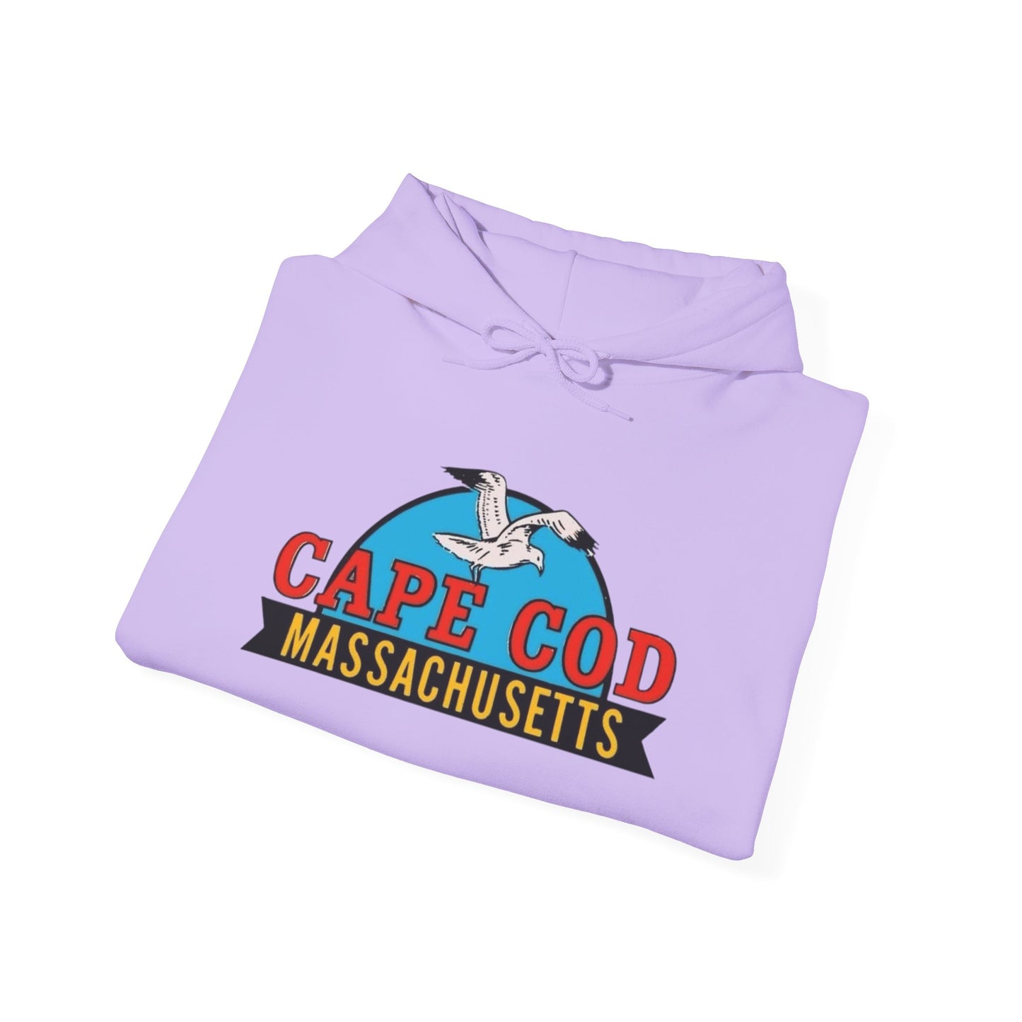 Cape Cod Seagull Graphic Hoodie Unisex Heavy Blend™ Hooded Sweatshirt