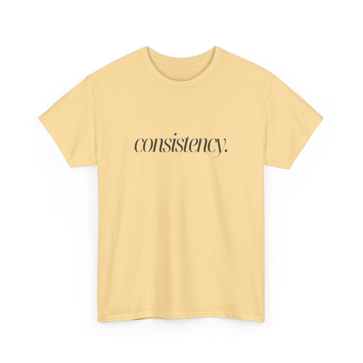 Consistency Graphic T Shirt NEW ADULT TEE