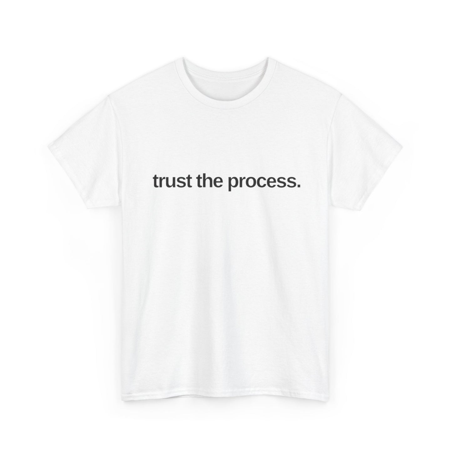 Trust The Process Graphic T Shirt NEW ADULT Tee