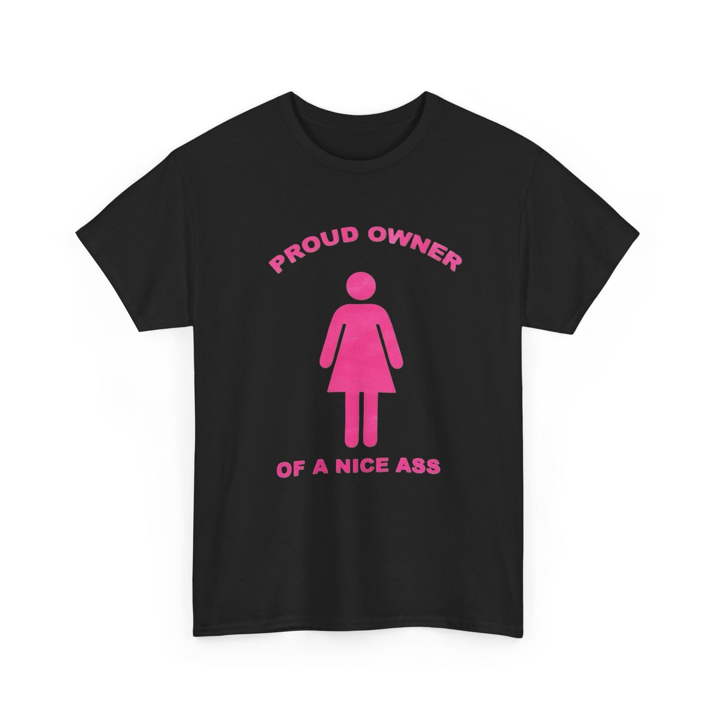 Proud Owner Of A Nice Ass Graphic T Shirt NEW Adult Unisex Heavy Cotton Tee