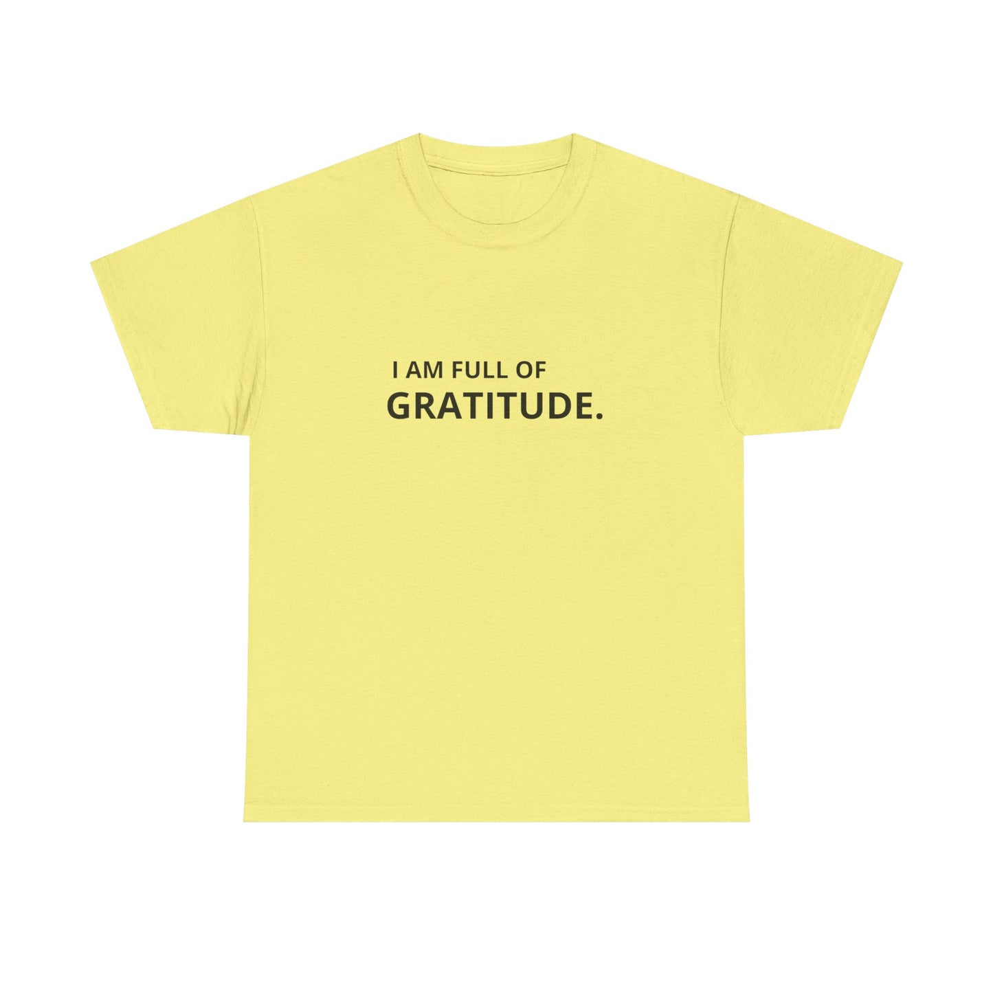 I Am Full Of Gratitude Graphic T Shirt NEW ADULT Tee