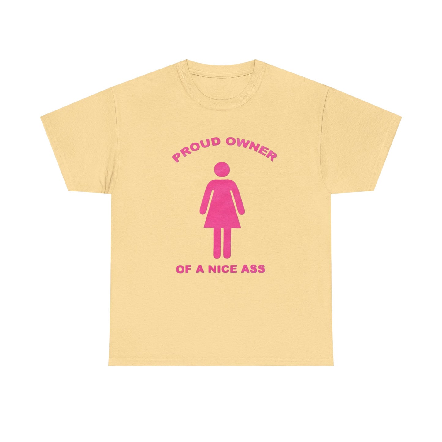 Proud Owner Of A Nice Ass Graphic T Shirt NEW Adult Unisex Heavy Cotton Tee