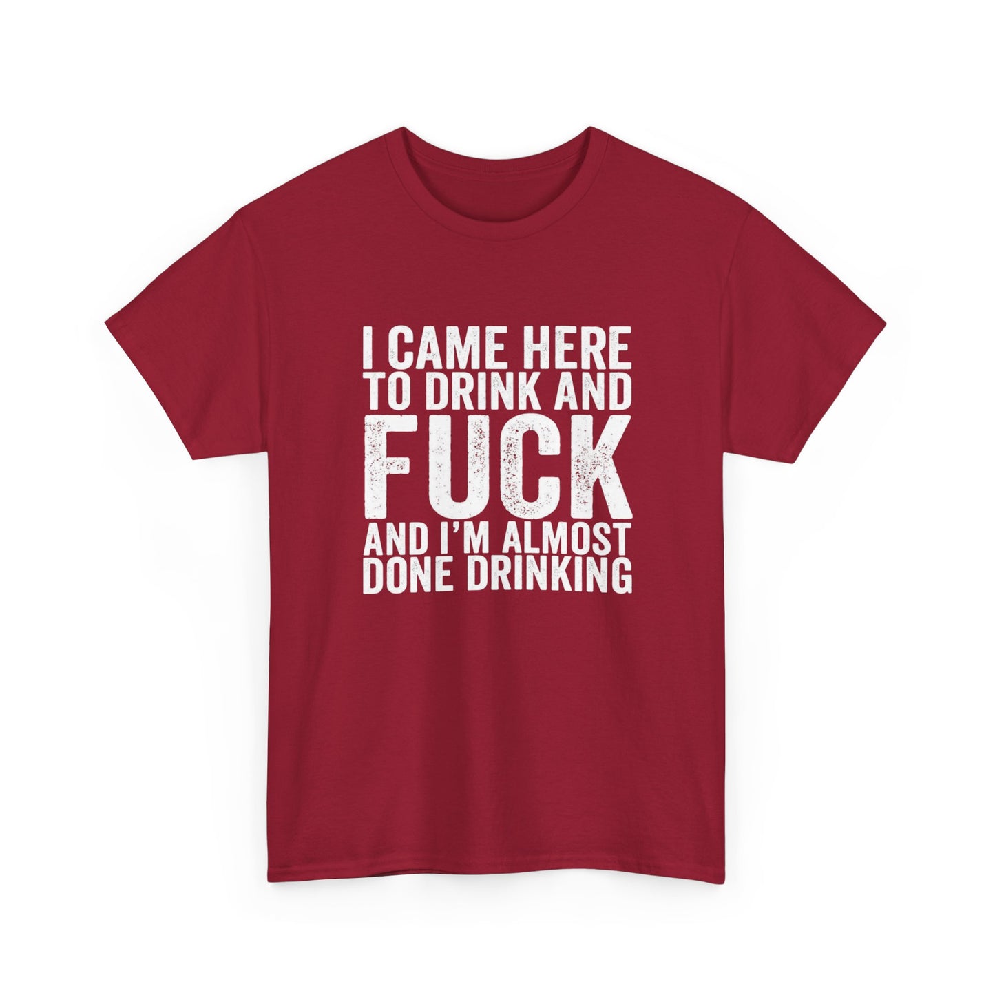 I Came Here To Drink Funny Graphic T Shirt NEW ADULT Unisex Heavy Cotton Tee