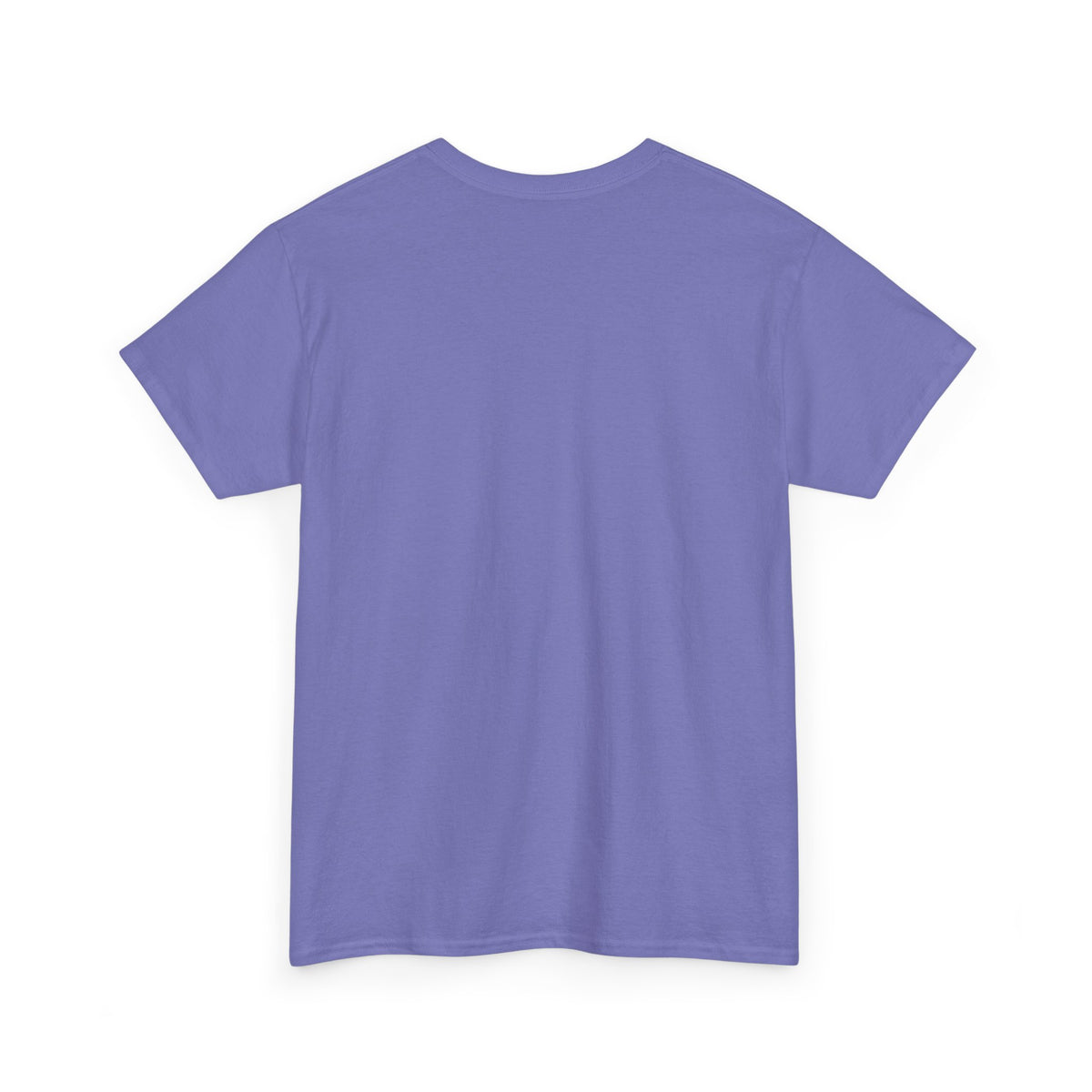 Hampton's Social Club Graphic T Shirt Men's Vintage Heavy Cotton Tee