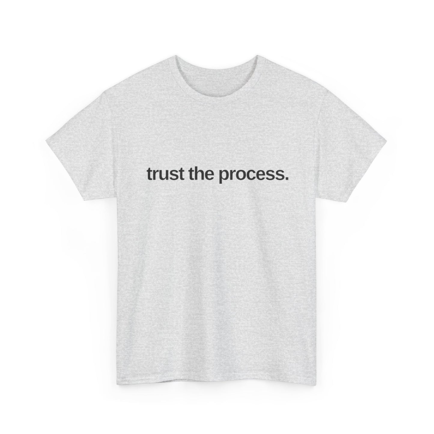 Trust The Process Graphic T Shirt NEW ADULT Tee
