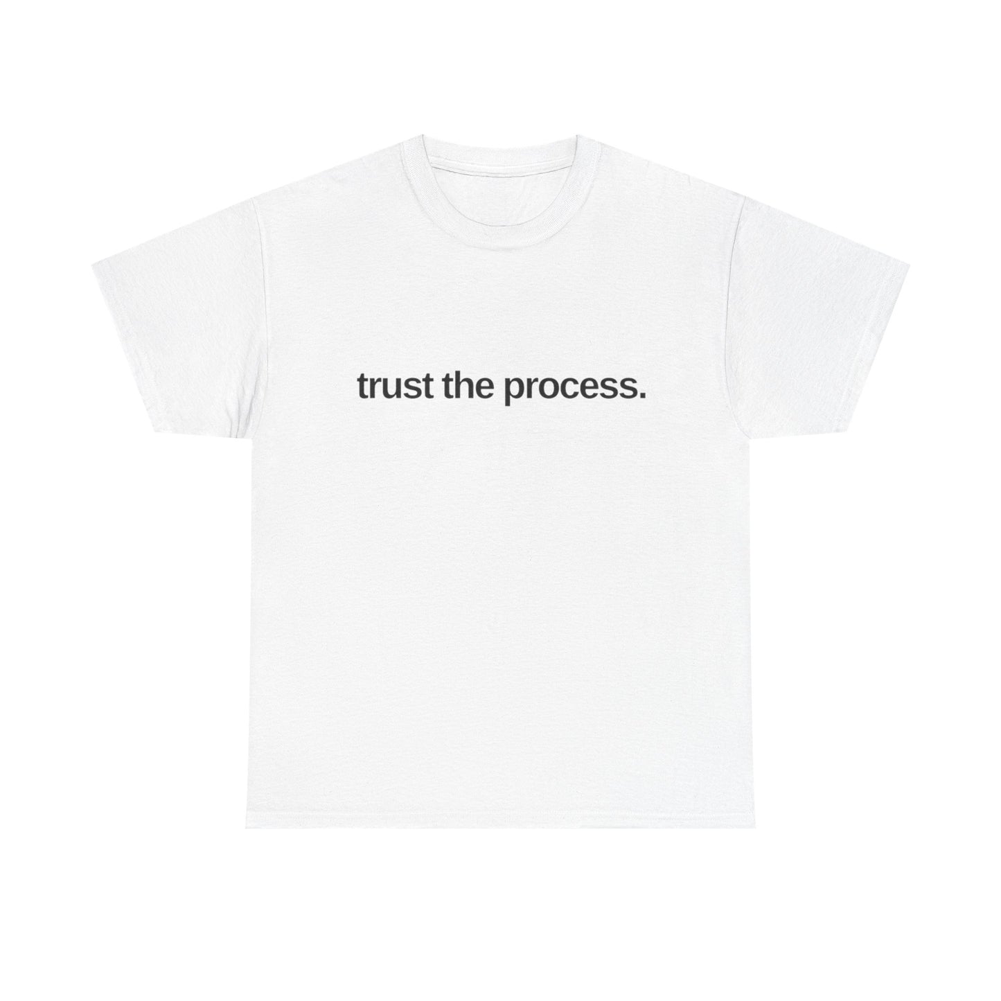 Trust The Process Graphic T Shirt NEW ADULT Tee