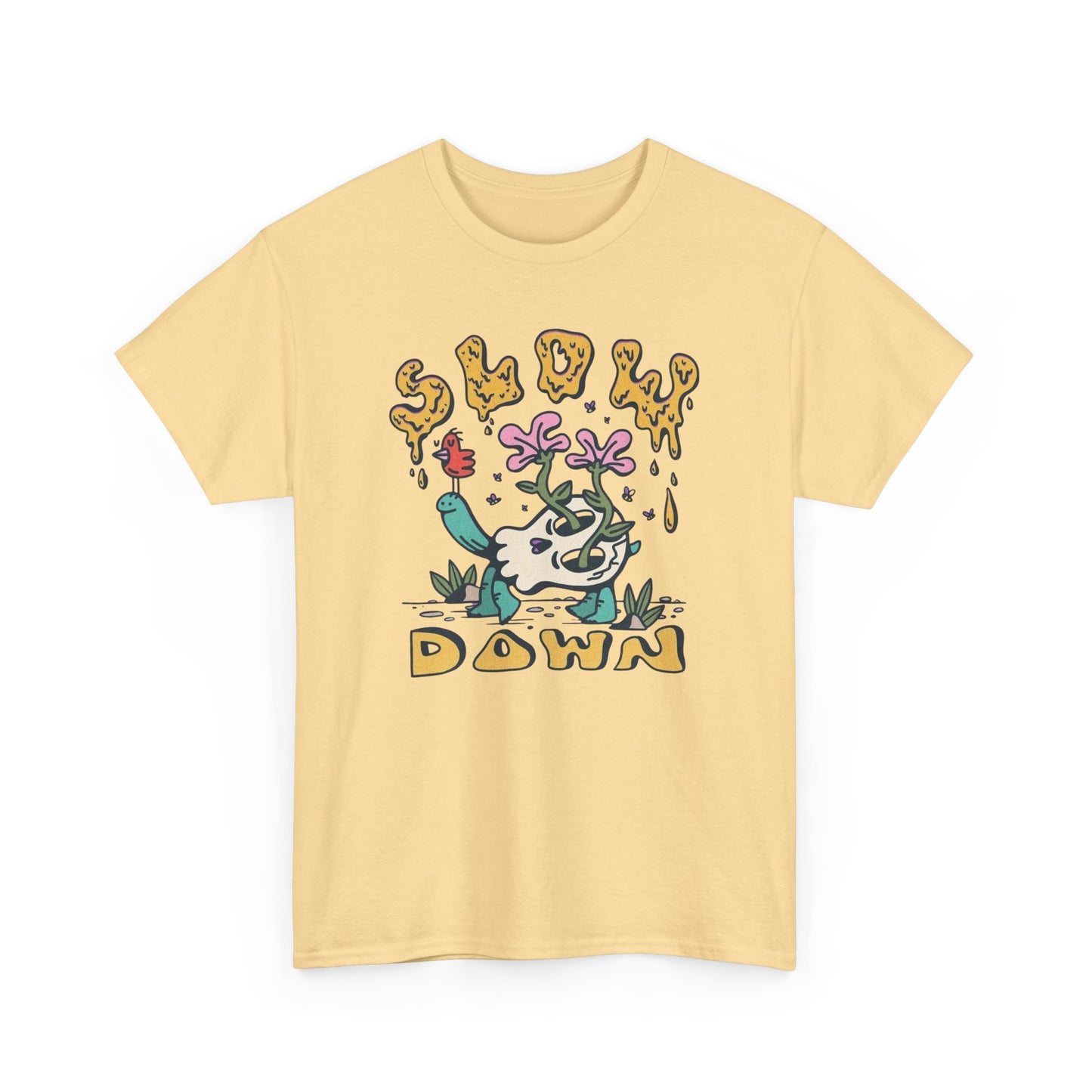 Slow Down Graphic T Shirt NEW ADULT Tee