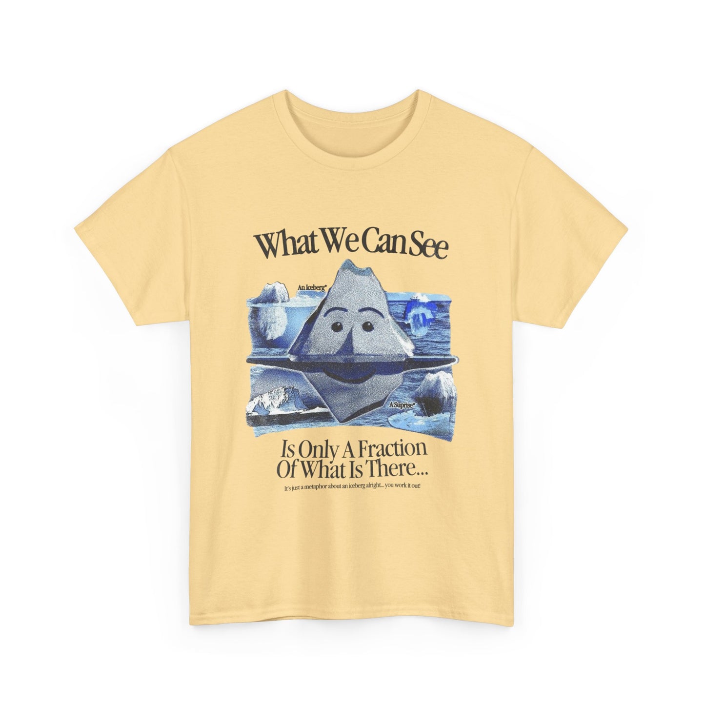 What We Can See Iceberg Graphic T Shirt Unisex Gift New AMERICAN VINTAGE
