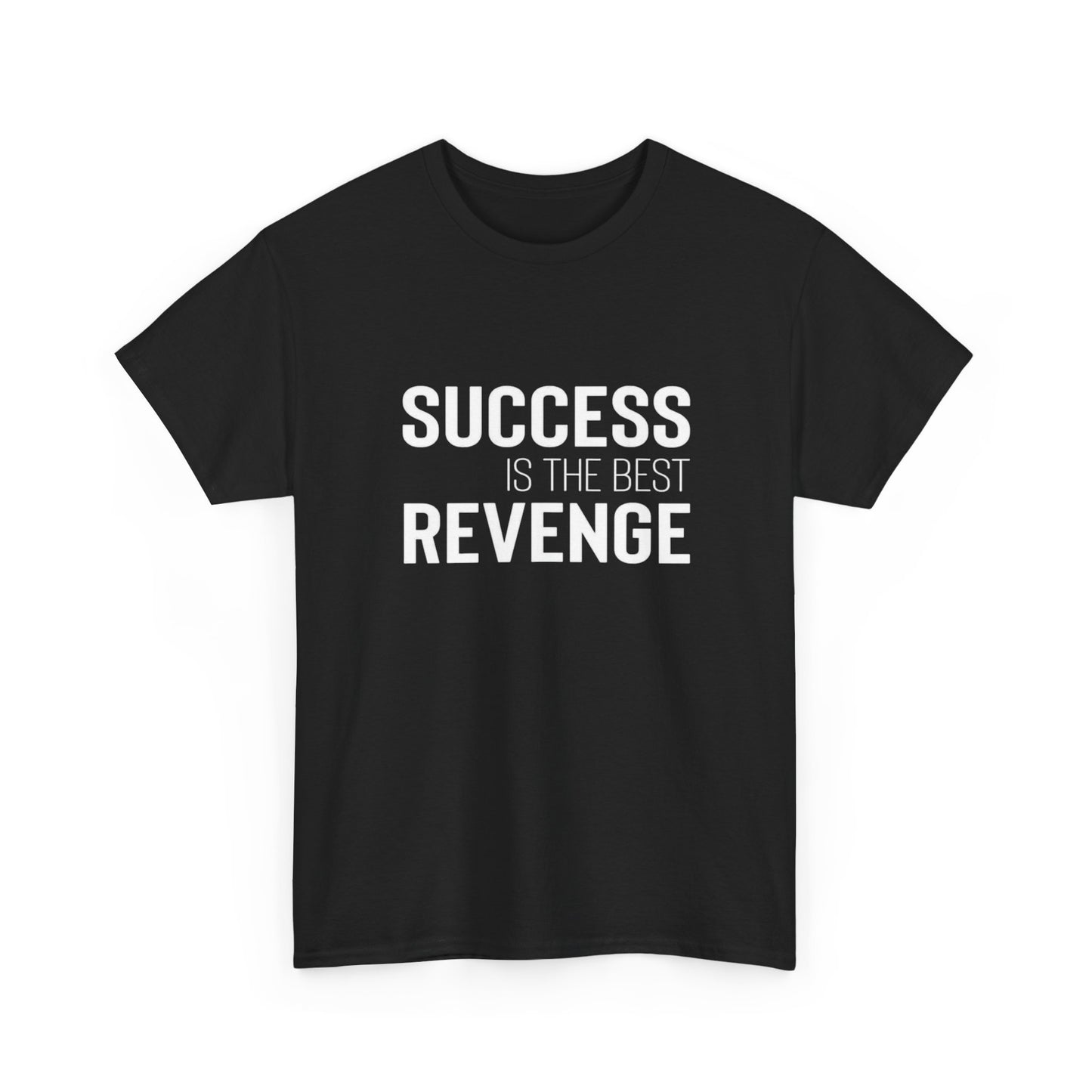 Success Is The Best Revenge Graphic T Shirt NEW ADULT TEE
