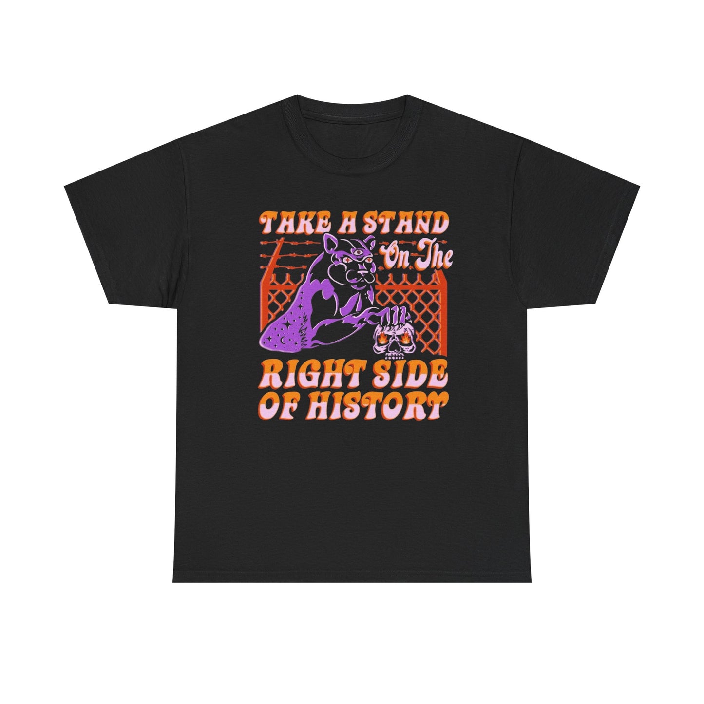 Take A Stand On The Right Side Of History Graphic T Shirt Unisex Heavy Cotton