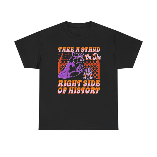 Take A Stand On The Right Side Of History Graphic T Shirt Unisex Heavy Cotton