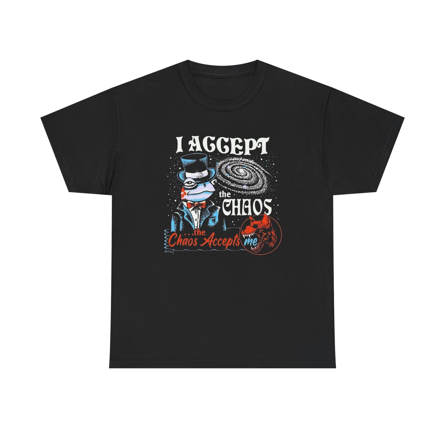 I Accept The Chaos Funny Graphic T Shirt Unisex Heavy Cotton Tee
