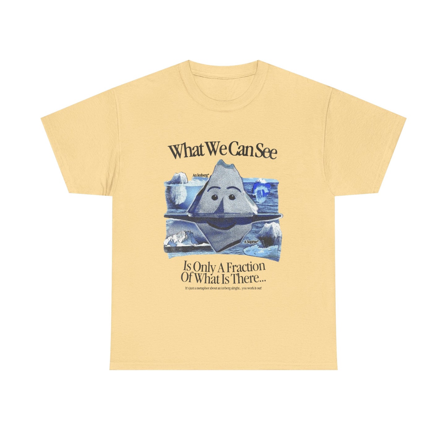 What We Can See Iceberg Graphic T Shirt Unisex Gift New AMERICAN VINTAGE