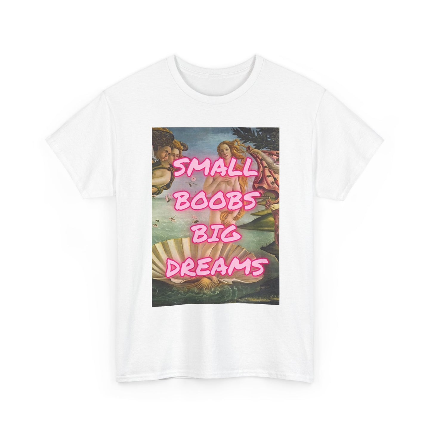Small Boobs Big Dreams Graphic T Shirt Funny Jokes Gift Unisex Heavy Cotton Tee