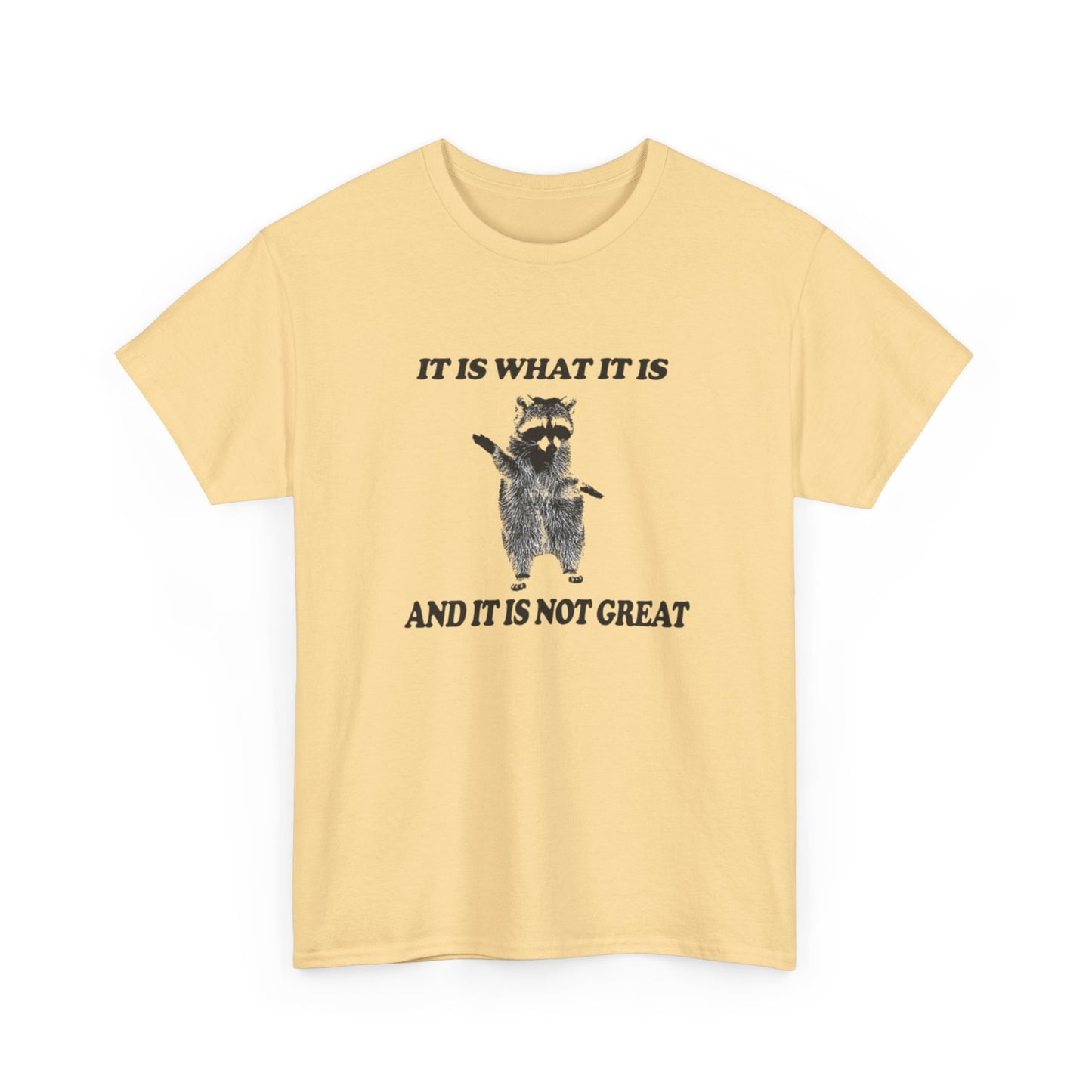 It Is What It Is Funny Raccoon Graphic T Shirt Unisex Heavy Cotton Tee