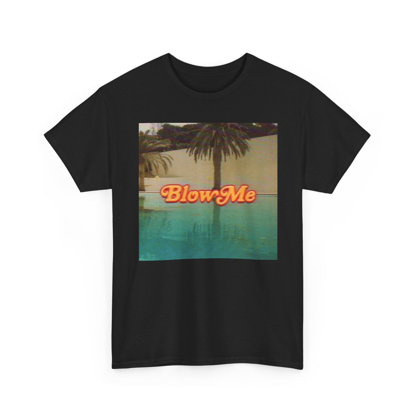 Blow Me Funny Graphic T Shirt S-5XL Unisex Heavy Cotton Tee