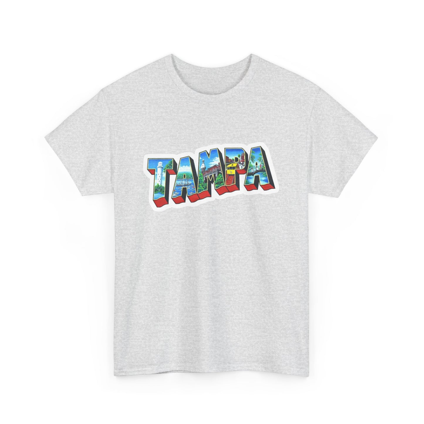 Tampa Bay FL Graphic T Shirt NEW ADULT