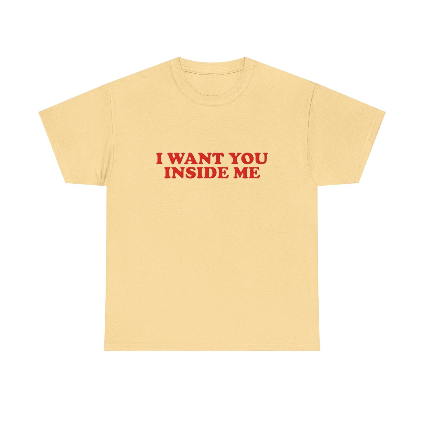I Want You Inside Me Funny Sex Humor Graphic T Shirt NEW Unisex Heavy Cotton Tee
