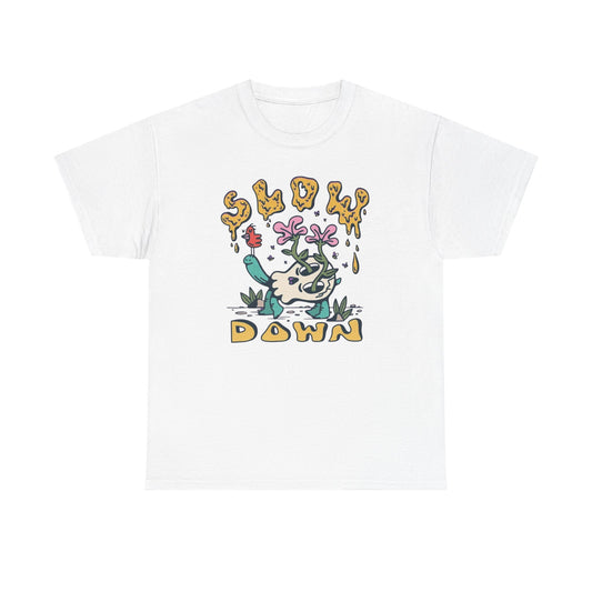 Slow Down Graphic T Shirt NEW ADULT Tee