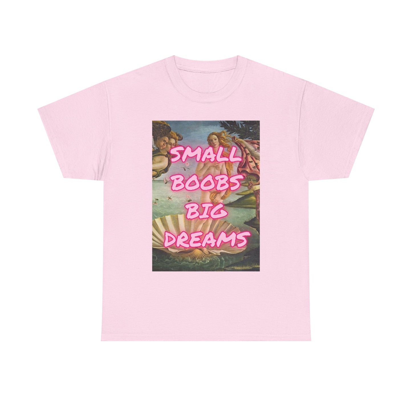 Small Boobs Big Dreams Graphic T Shirt Funny Jokes Gift Unisex Heavy Cotton Tee