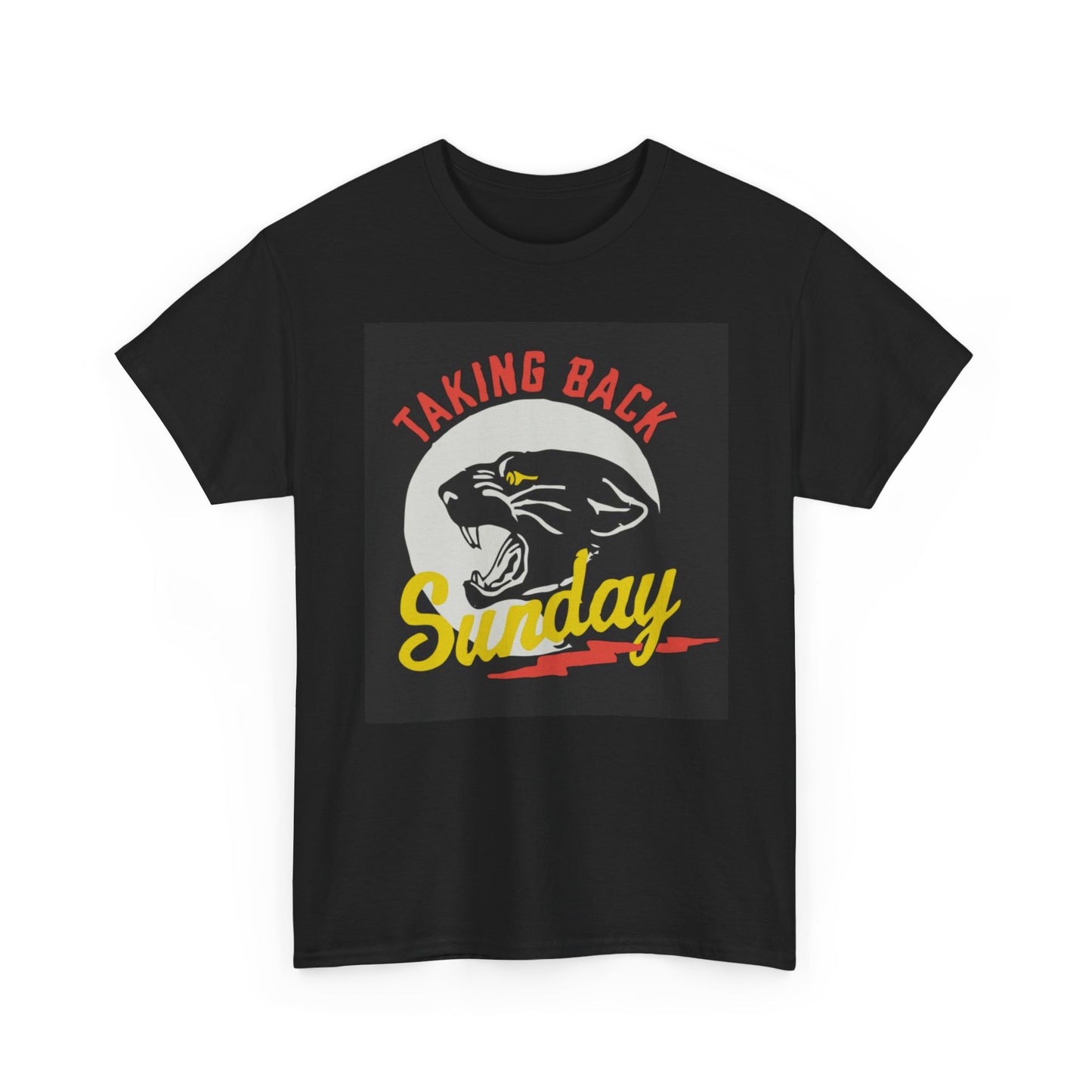 Taking Back Sunday Graphic T Shirt Vintage Retro Unisex Heavy Cotton Tee