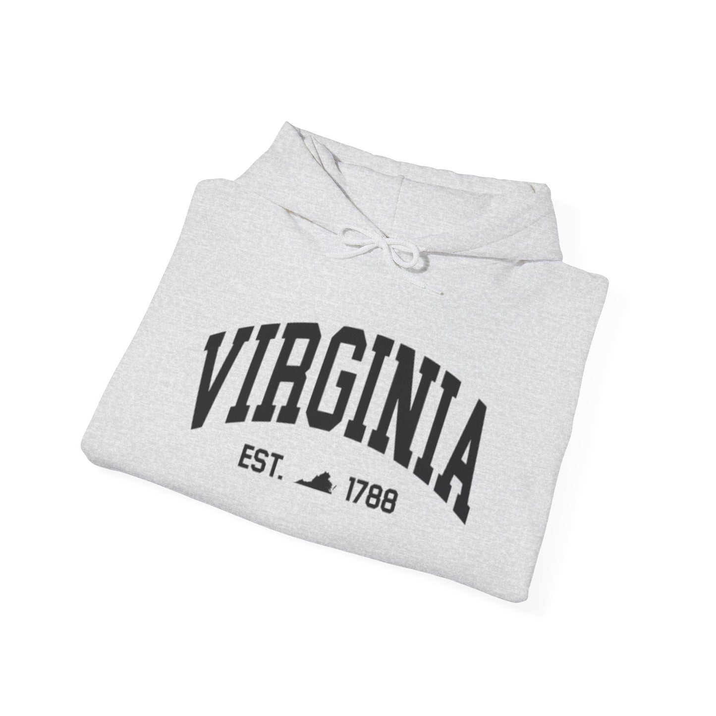 Virginia State Graphic Hoodie Unisex Heavy Blend™ Hooded Sweatshirt