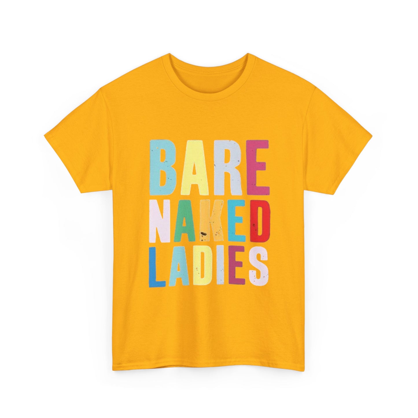 Bare Naked Ladies Tshirt Vintage Distressed Logo Merch Unisex Heavy Cotton Tee