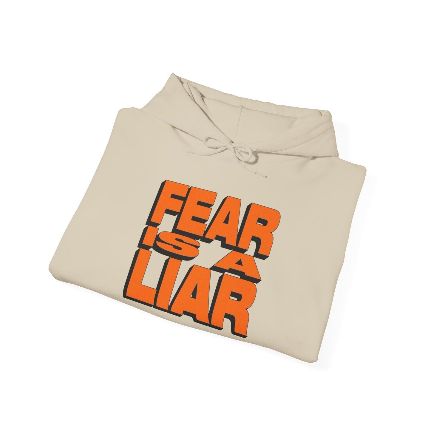 Fear Is A Liar Graphic Hoodie Unisex Heavy Blend™ Hooded Sweatshirt
