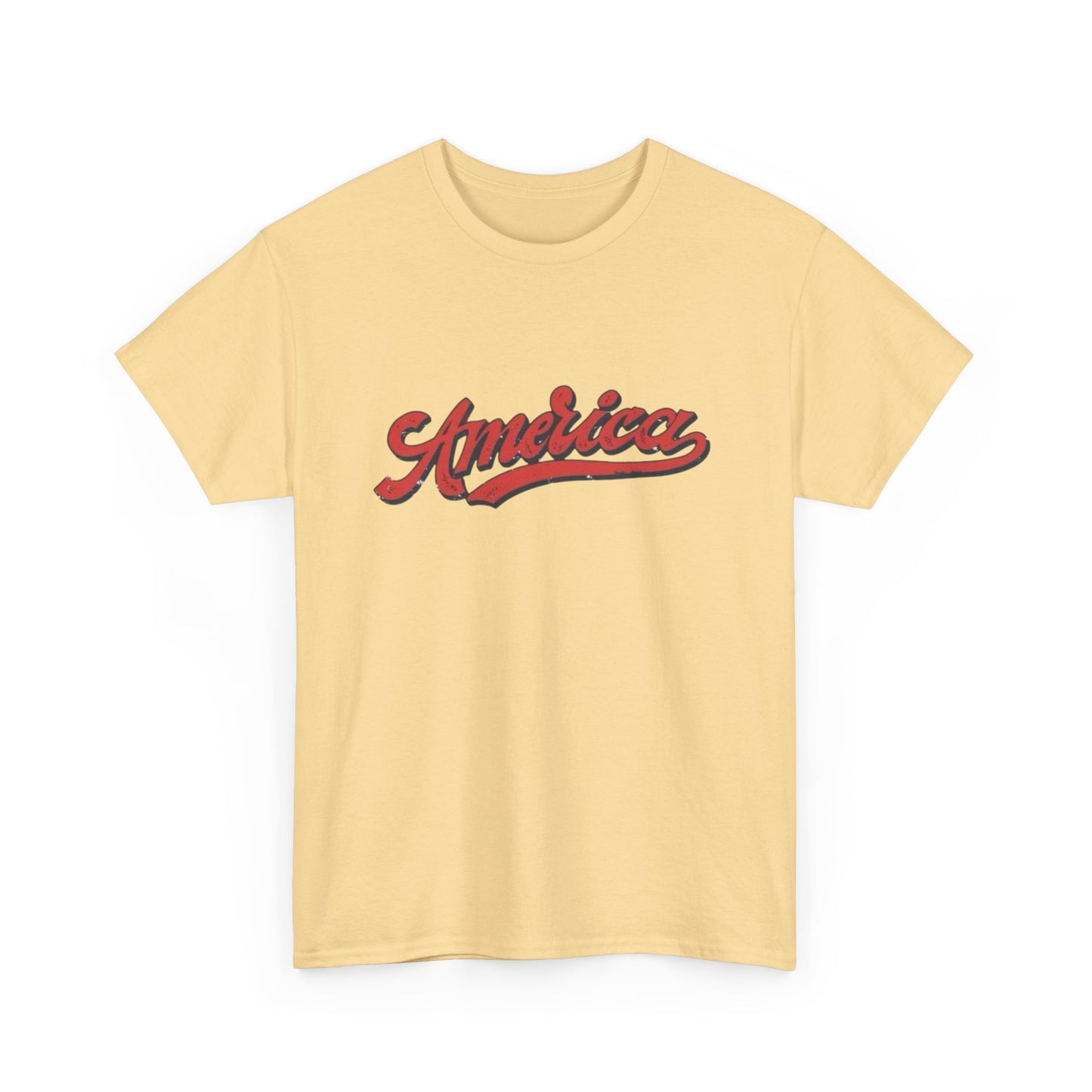 America Graphic T Shirt ADULT NEW