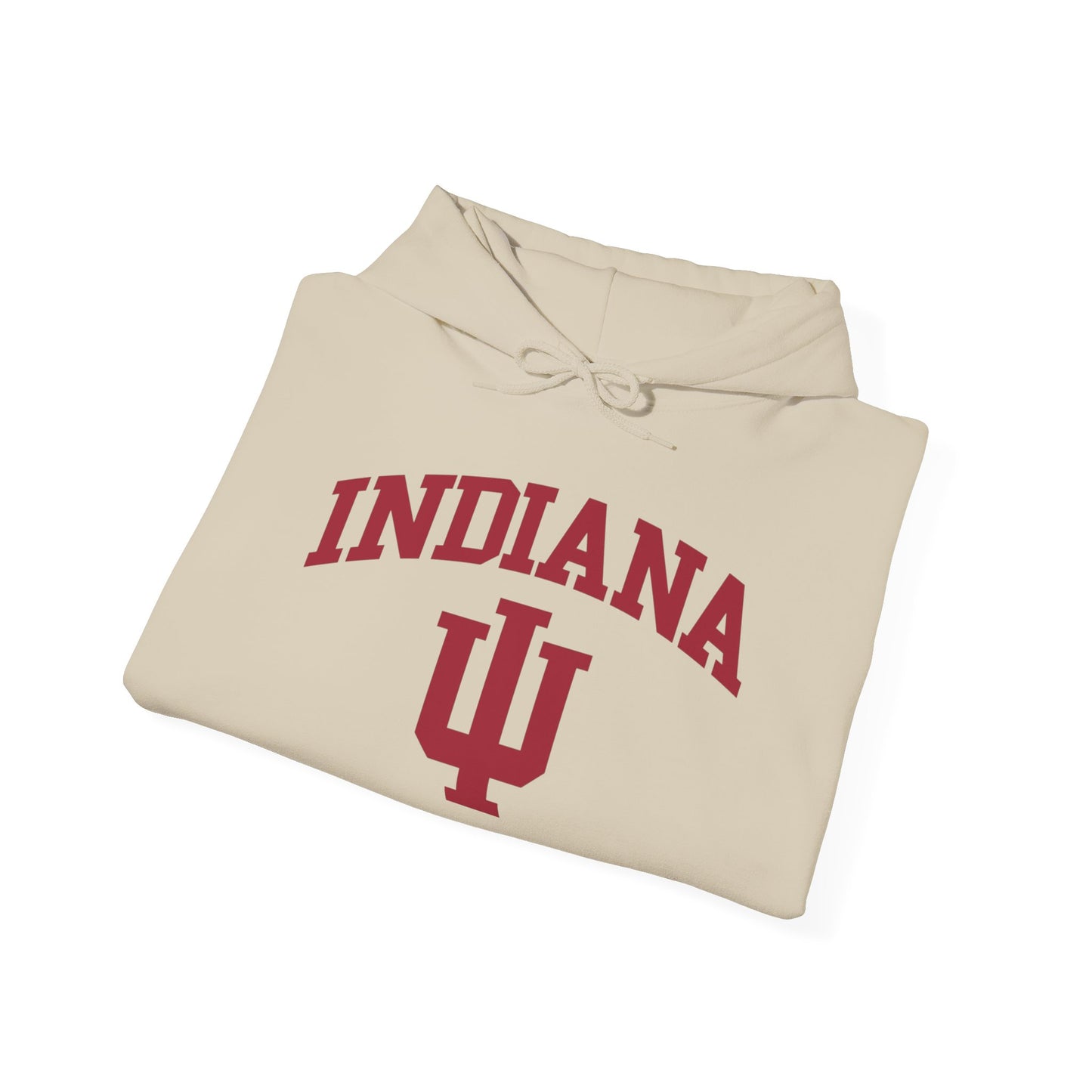Indiana State Graphic Hoodie Unisex Heavy Blend™ Hooded Sweatshirt