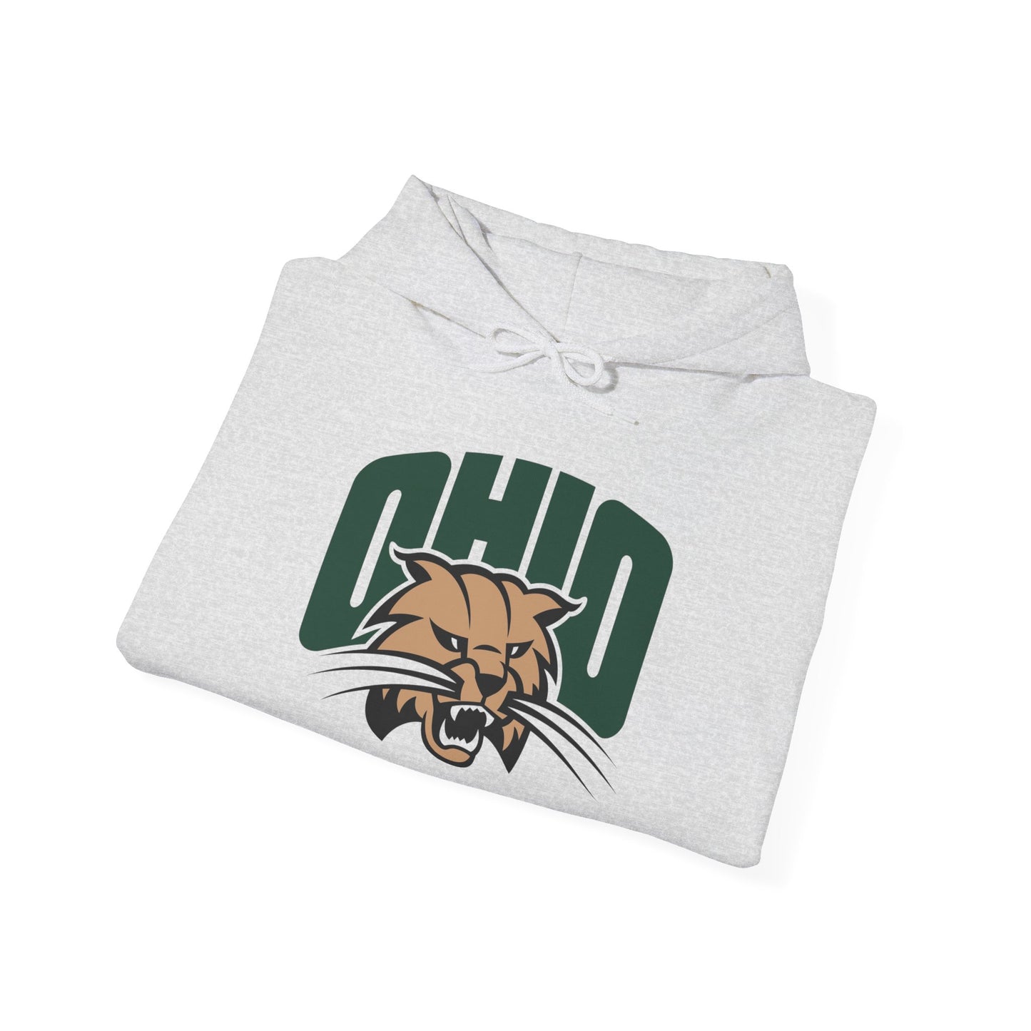 Ohio State Graphic Hoodie Unisex Heavy Blend™ Hooded Sweatshirt