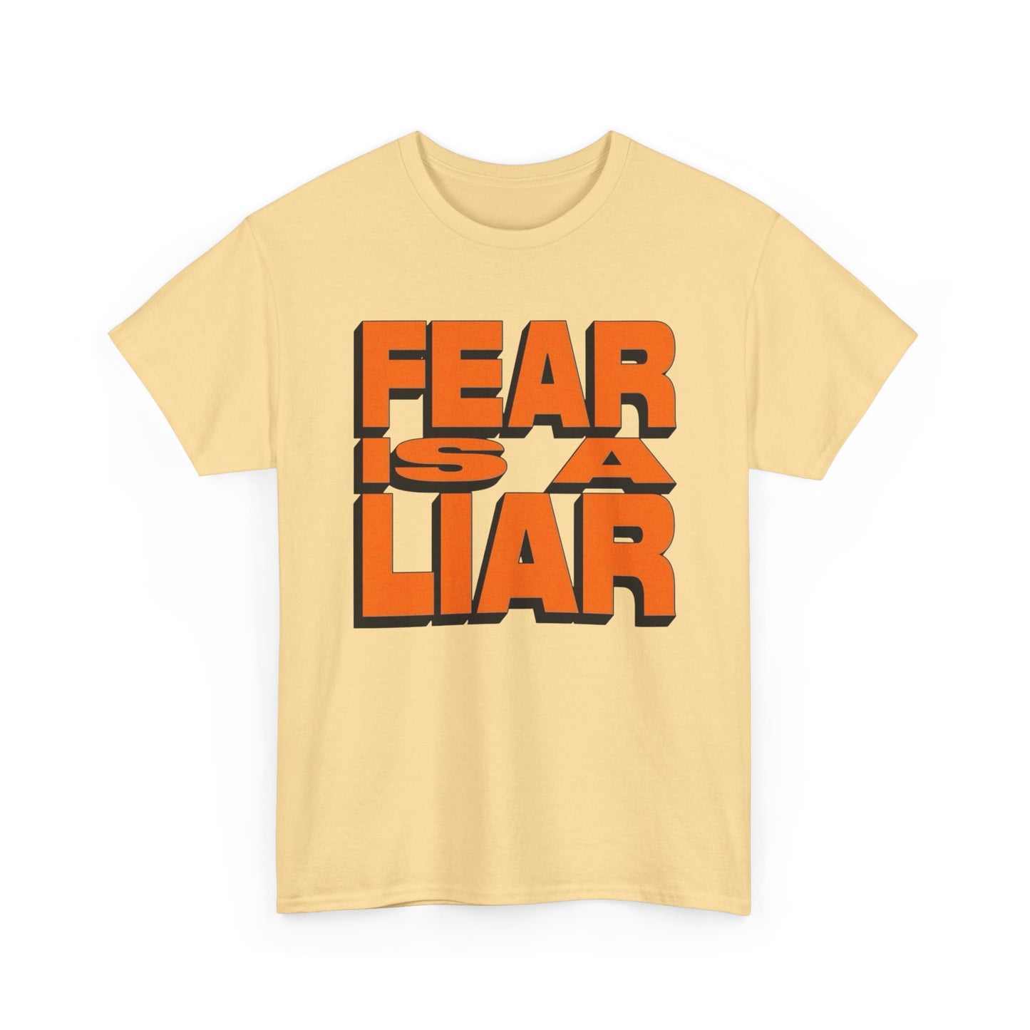 Fear Is A Liar Graphic T-Shirt Unisex Heavy Cotton Tee Gift