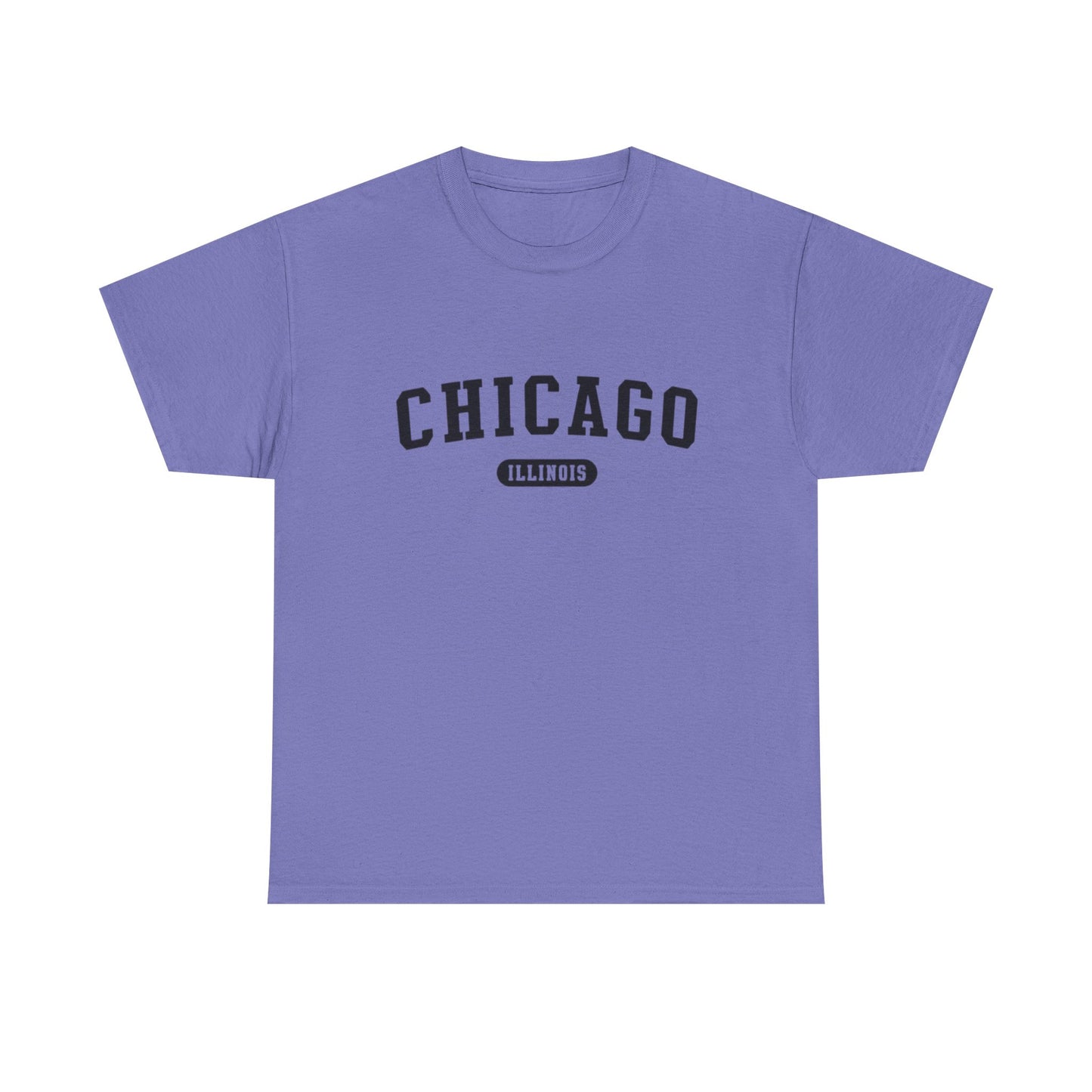 Chicago Illinois Graphic T Shirt ADULT NEW