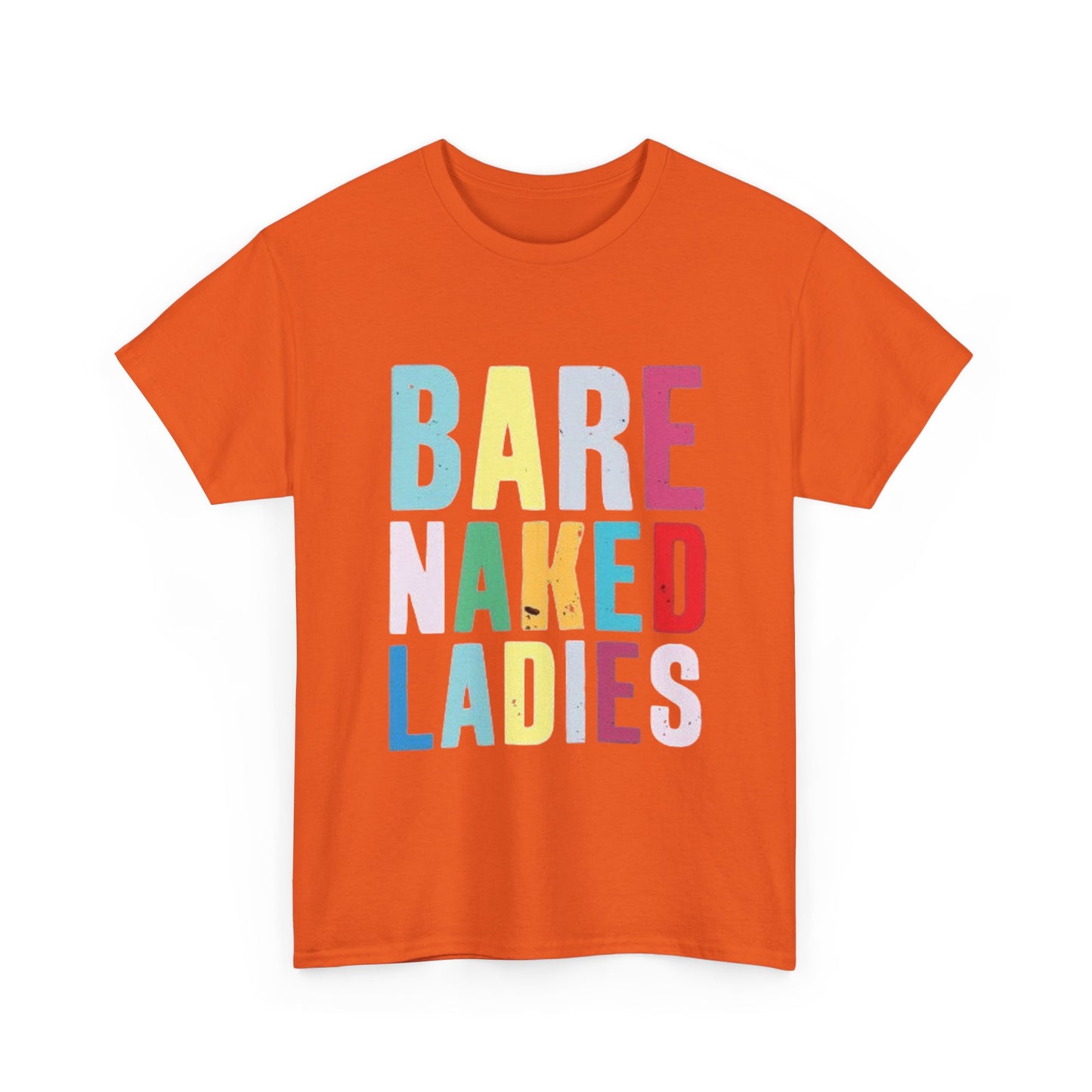 Bare Naked Ladies Tshirt Vintage Distressed Logo Merch Unisex Heavy Cotton Tee
