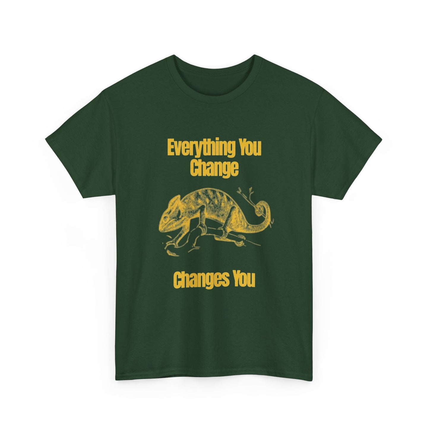 Everything You Change Changes You Graphic T Shirt Unisex Heavy Cotton Tee