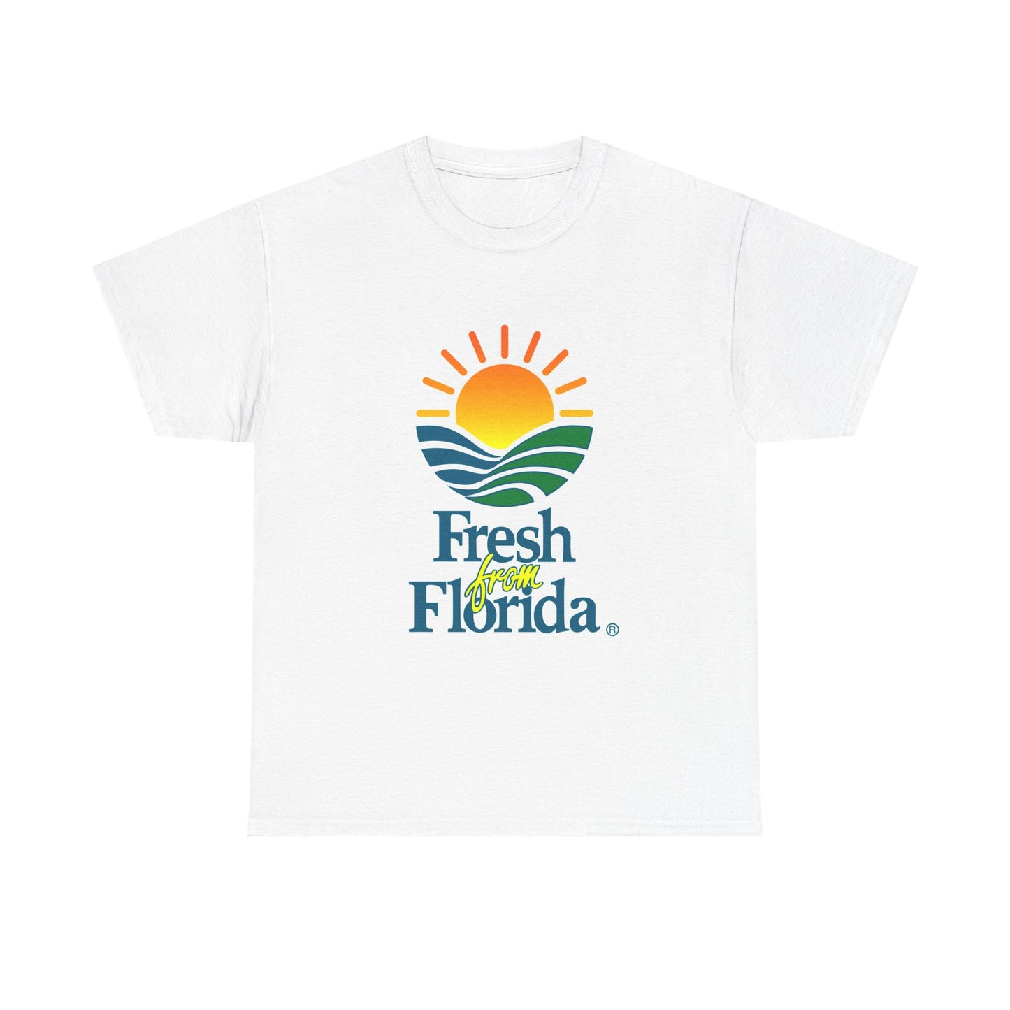 Florida Graphic Tshirt Summer Beach Miami Tampa Merch Unisex Heavy Cotton Tee