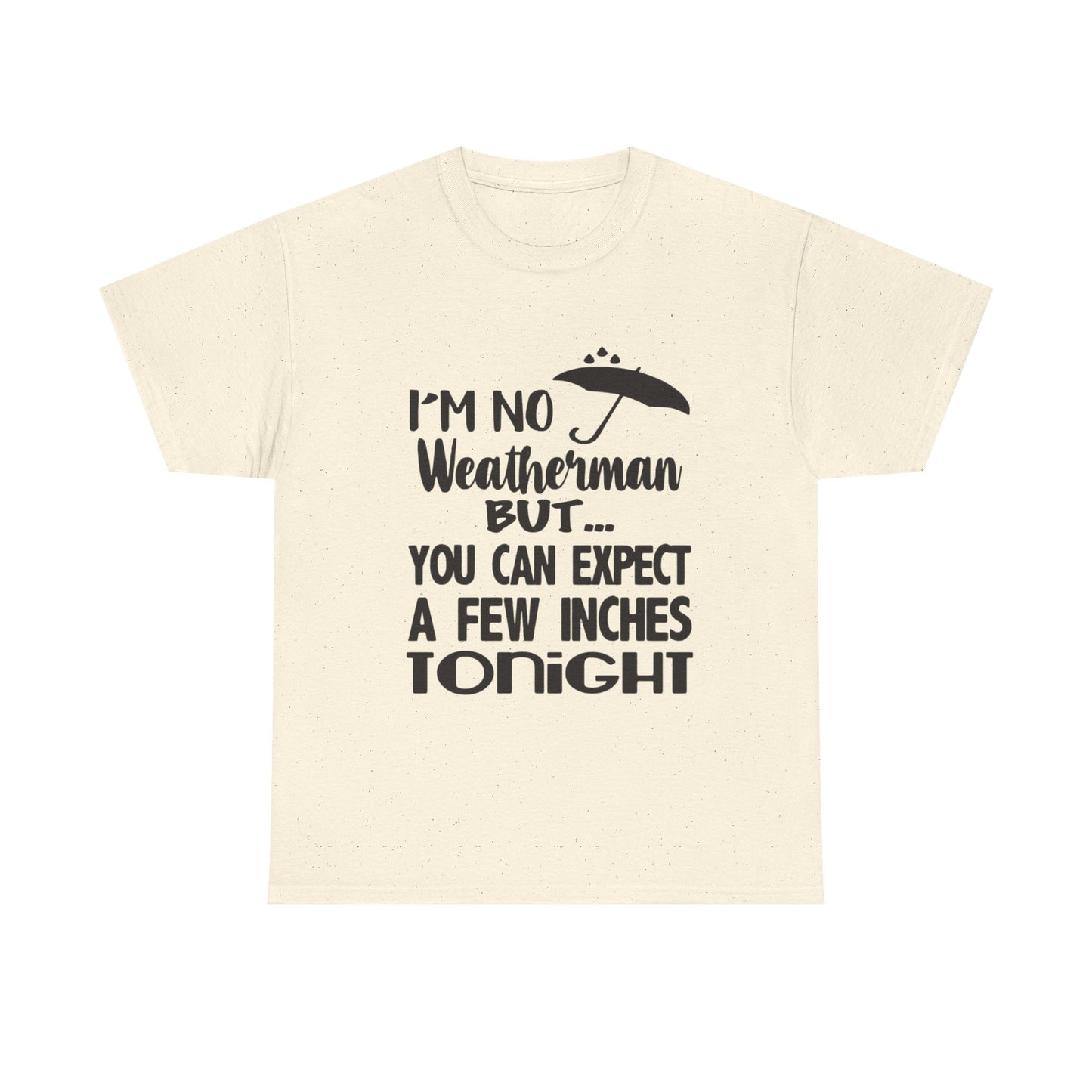 Hilarious Sex Humor Jokes Graphic T Shirt ADULT Unisex Heavy Cotton Tee