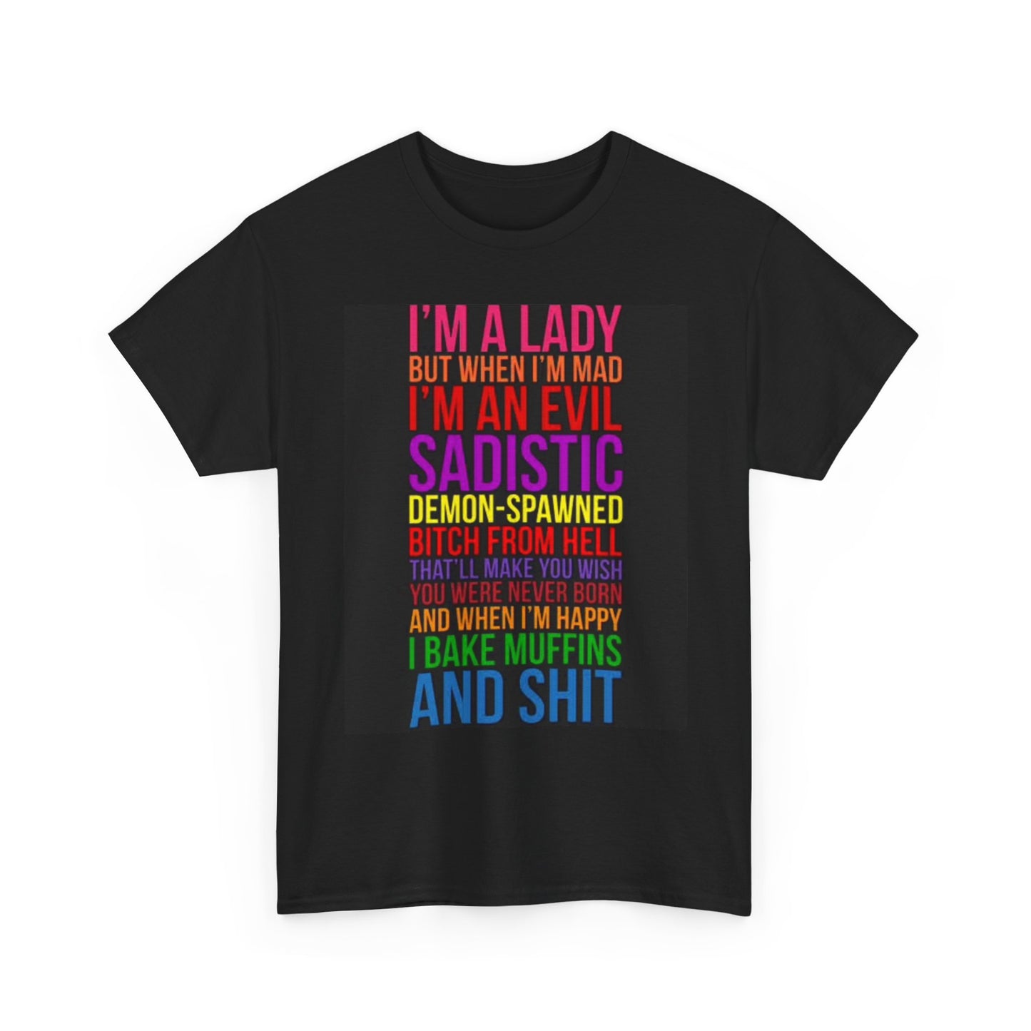 I'm A Lady Graphic T Shirt Funny Hilarious Jokes Humor Unisex Heavy Cotton Tee