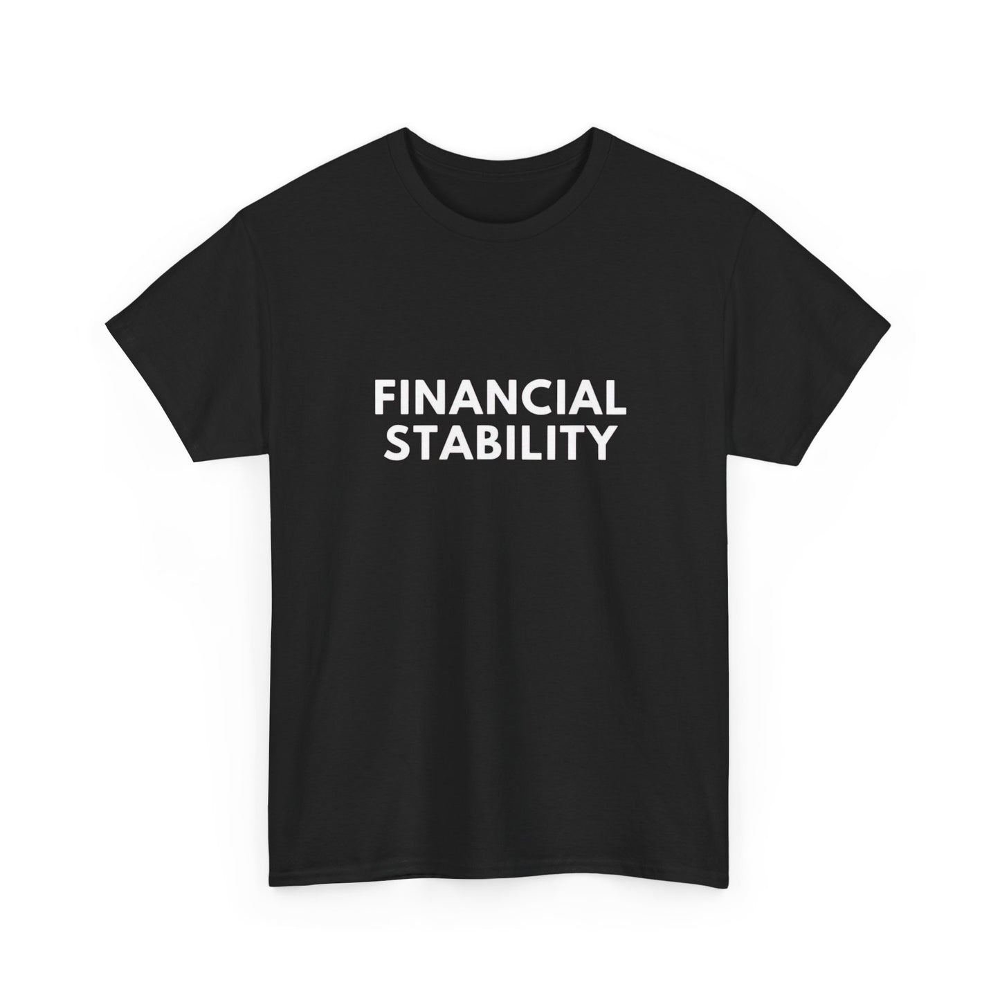 Financial Stability Graphic T Shirt NEW ADULT Tee