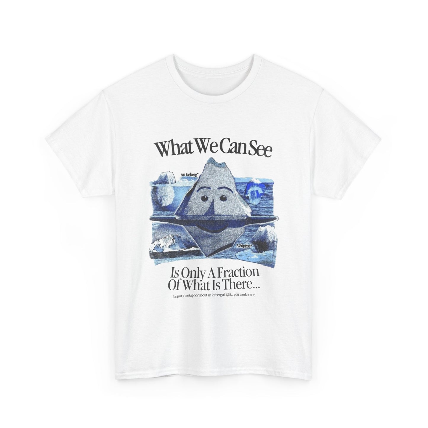 What We Can See Iceberg Graphic T Shirt Unisex Gift New AMERICAN VINTAGE
