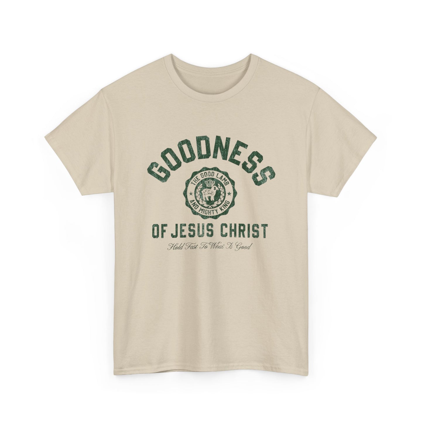 Goodness Of Jesus Christ Graphic T Shirt ADULT NEW