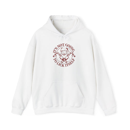 Santa Funny Sex Jokes Graphic Hoodie Unisex Heavy Blend™ Hooded Sweatshirt