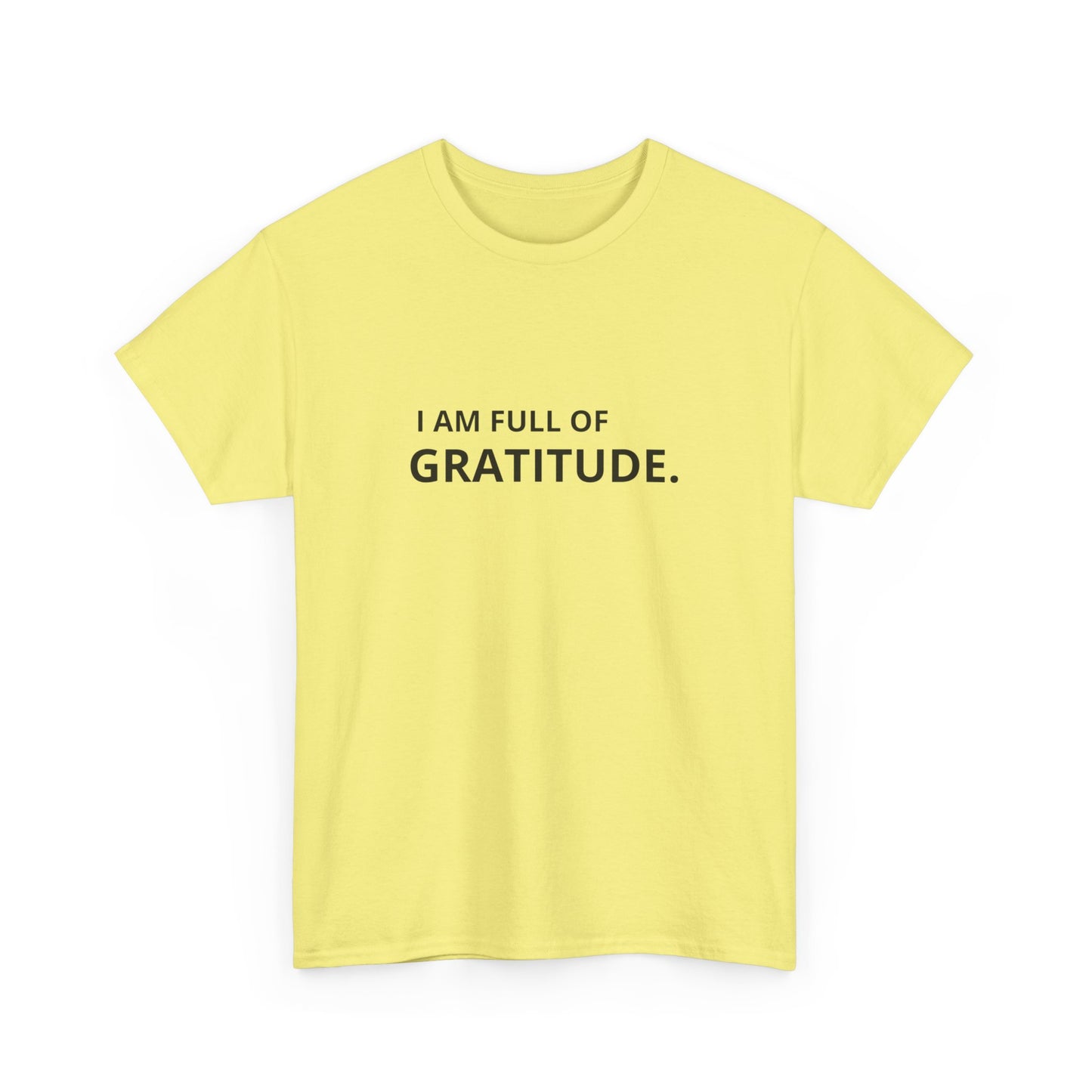 I Am Full Of Gratitude Graphic T Shirt NEW ADULT Tee