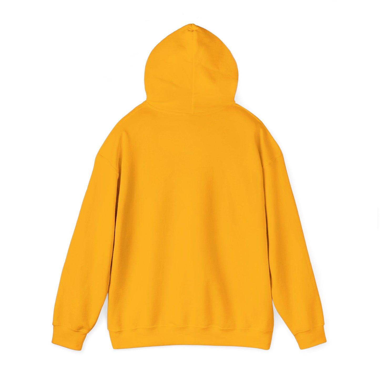 Palm Coast Graphic Hoodie Heavy Blend Sweatshirt NEW